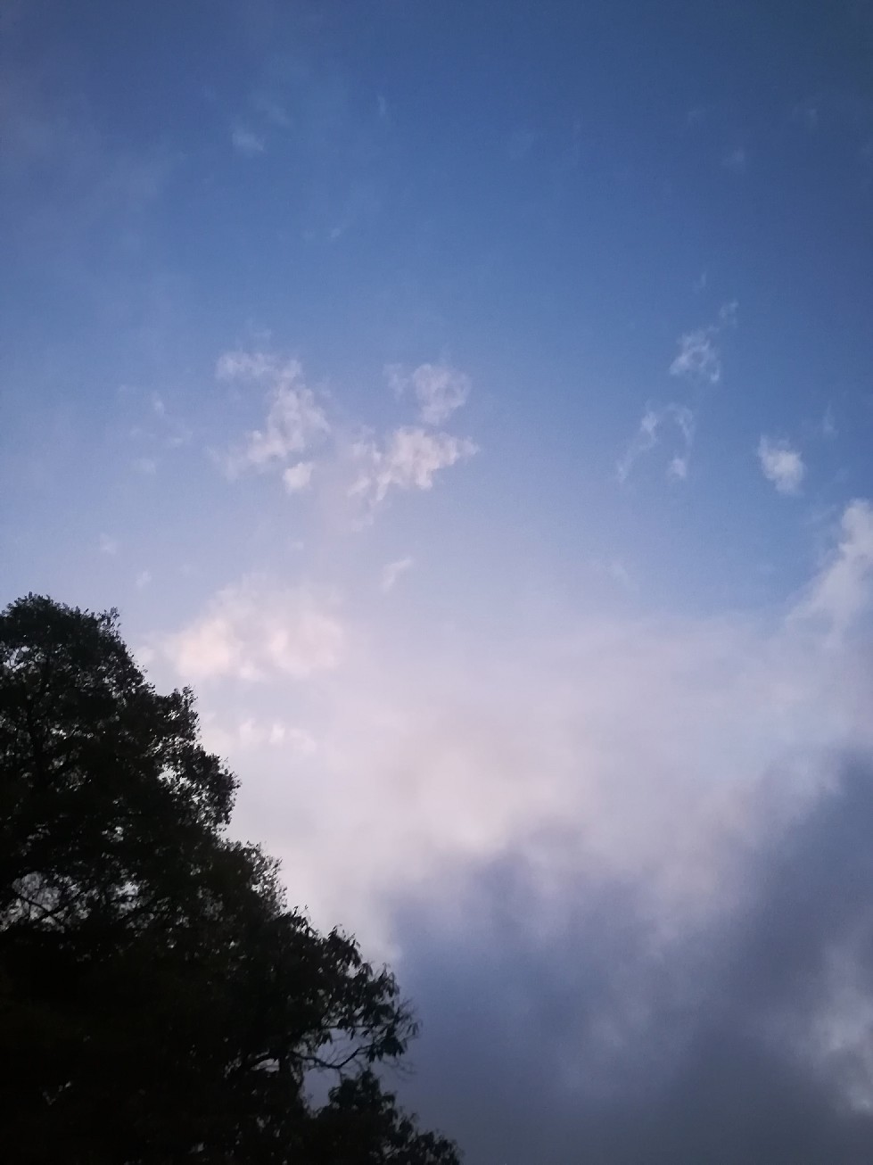 a0373658_00275324.jpg