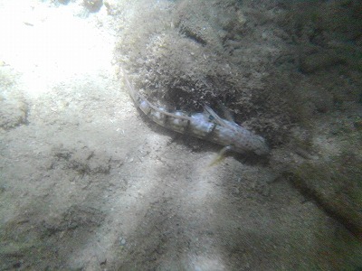 c0180460_01220846.jpg