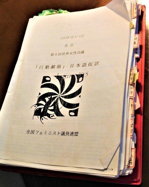 「北京行動綱領」を墓場から陽の当たる所に出さなくては_c0166264_15573611.jpg