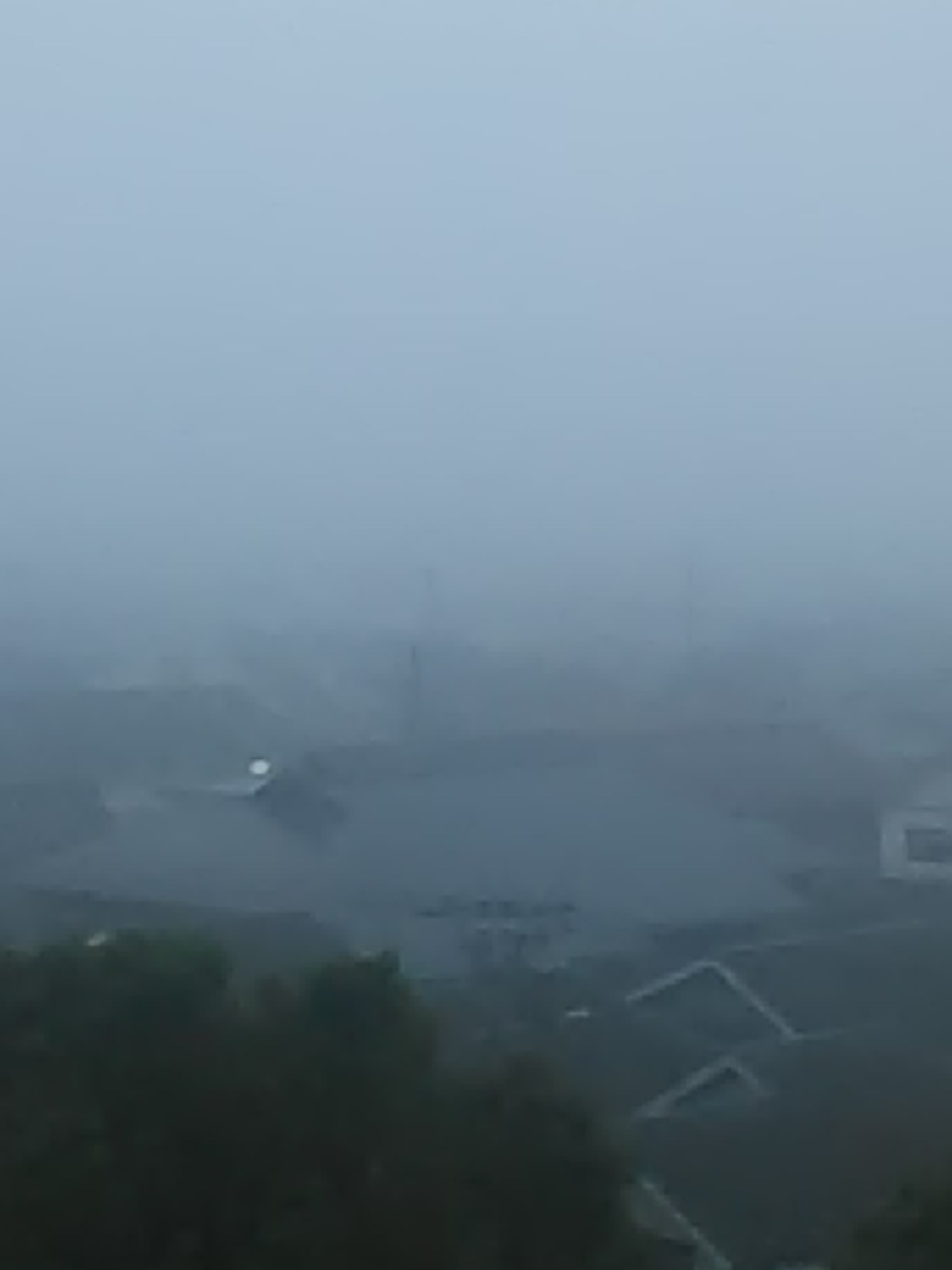 今朝の霧・・・_e0188079_13125335.jpg