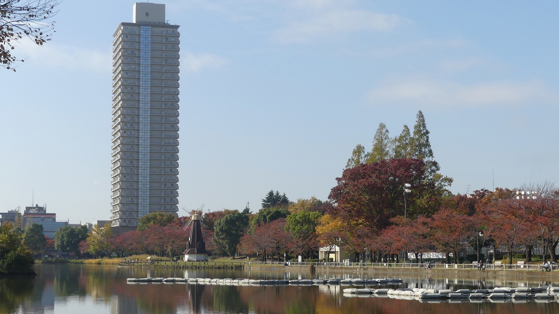 鴨池秋模様_a0185081_11093266.jpg
