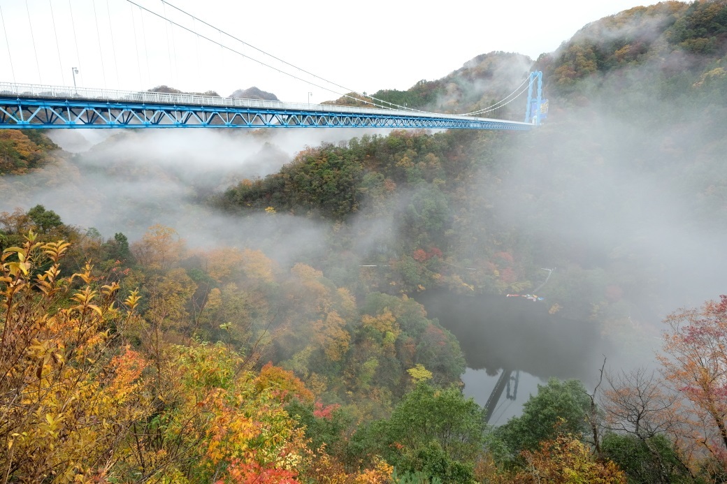 竜神大吊橋紅葉 常陸太田市 ２０１９ １１ ２４ 常陸のt S Blog