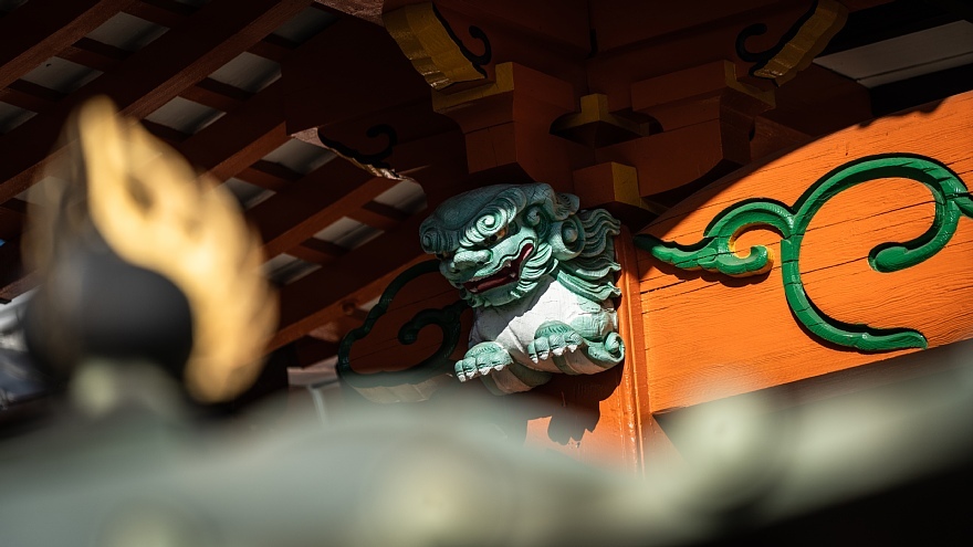 猫が集う龍泉寺_d0353489_20425142.jpg