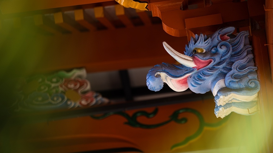 猫が集う龍泉寺_d0353489_20443025.jpg