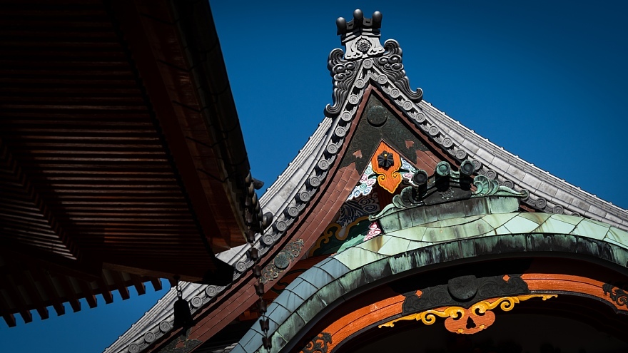 猫が集う龍泉寺_d0353489_20444676.jpg