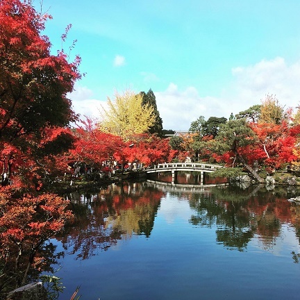 Kyoto_b0204691_15461461.jpg