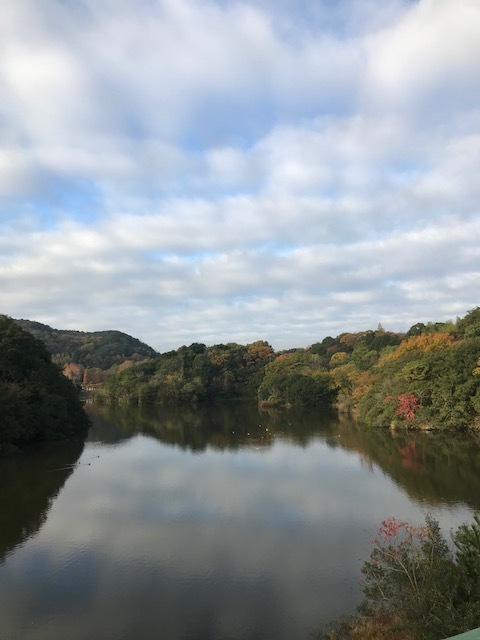 淡路島_f0204295_11371071.jpg
