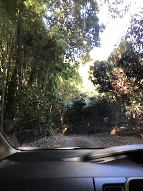 淡路島 岩上神社_f0204295_11391135.jpg