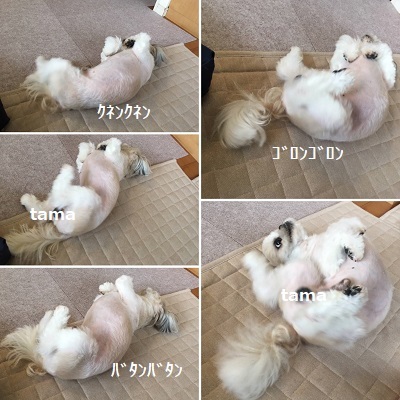 帰って行ったくばたんとディズニー土産。_f0372998_22312515.jpg
