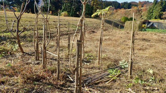 なかなか終わらない冬への準備 ⑥_c0336902_19393454.jpg