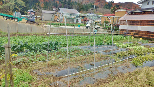 なかなか終わらない冬への準備 ⑥_c0336902_19394262.jpg