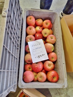 今年もリンゴの仕入れに長野県中野市へ_c0336902_20124711.jpg