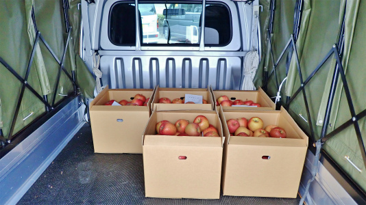 今年もリンゴの仕入れに長野県中野市へ_c0336902_20234170.jpg