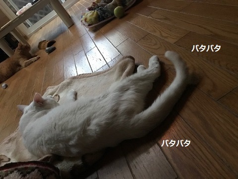 f0242002_14294401.jpg