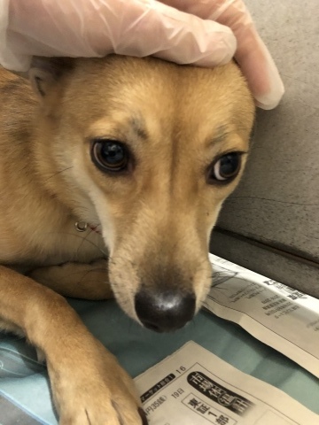 f0078320_21325327.jpeg