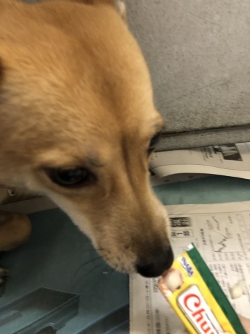 f0078320_21332795.jpeg