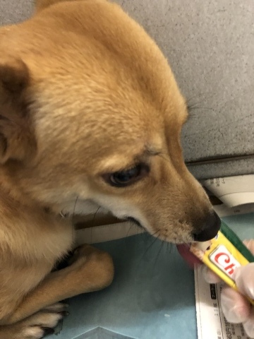 f0078320_21353628.jpeg