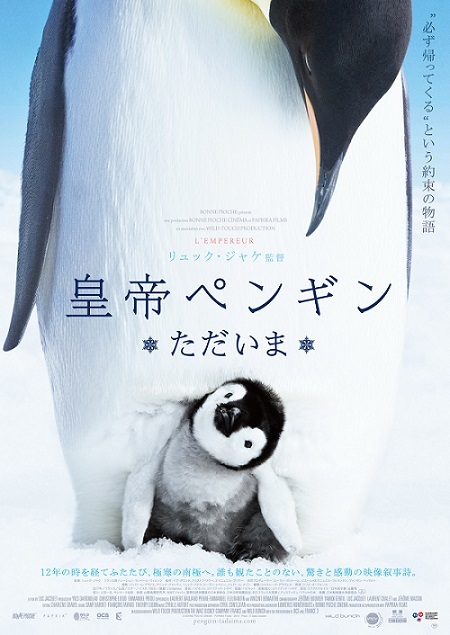 皇帝ペンギン ただいま Asabatyouのなんでもブログ2