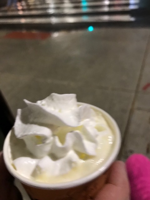 早くもクリスマスビレッジ登場_d0269832_23200194.jpeg