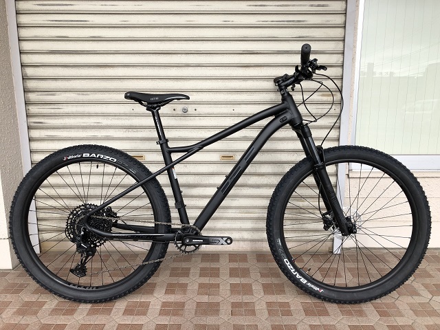 avalanche expert 27.5