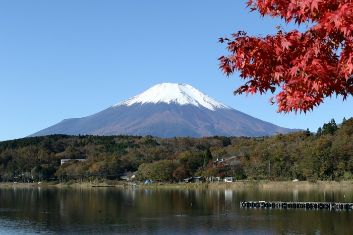 富士山　　１１月６日_f0275135_12354448.jpg