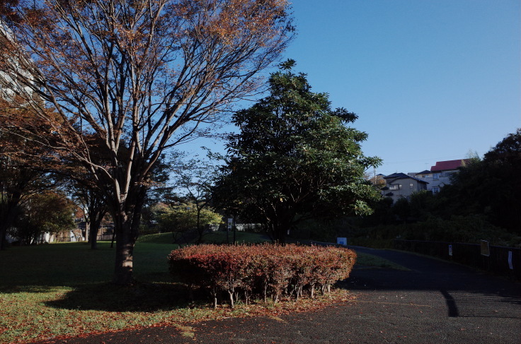 三島市からぶらぶら2日目 その1 ~ 世界一小さな公園、鮎壺の滝_a0287336_21292179.jpg