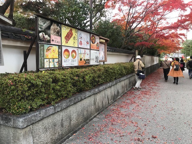 d0020139_15550548.jpeg
