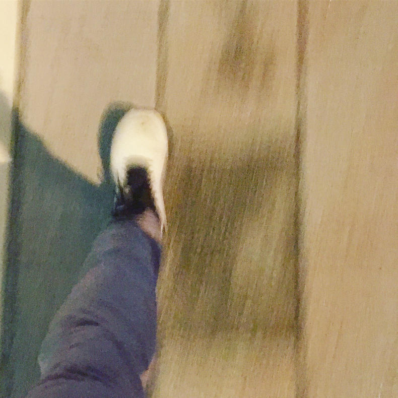 そういえば、100万歩達成したよ_c0060143_23243539.jpg