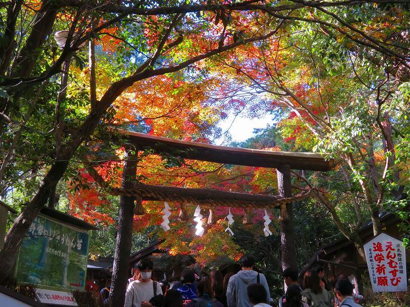 嵯峨野の「④野宮神社」20191123_e0237645_15464232.jpg