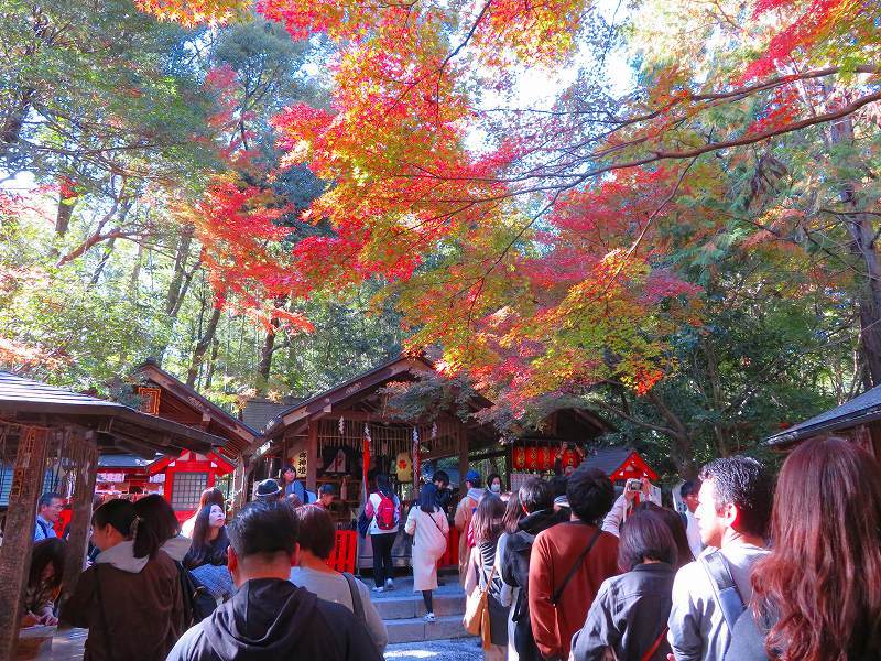 嵯峨野の「④野宮神社」20191123_e0237645_15464235.jpg