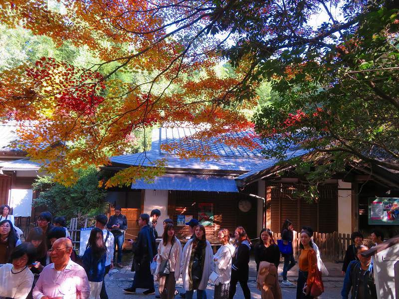 嵯峨野の「④野宮神社」20191123_e0237645_15464280.jpg