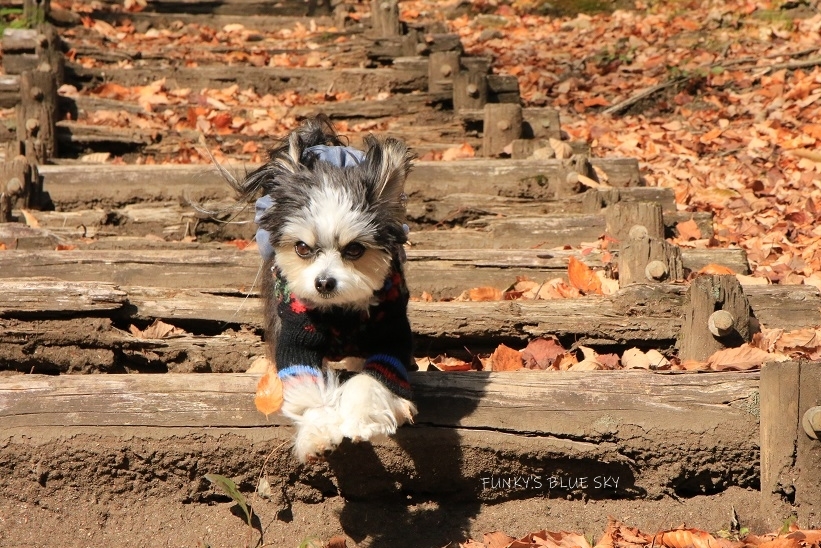 c0145250_10360948.jpg
