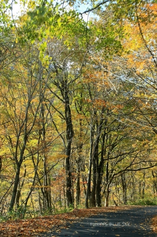 c0145250_10361672.jpg