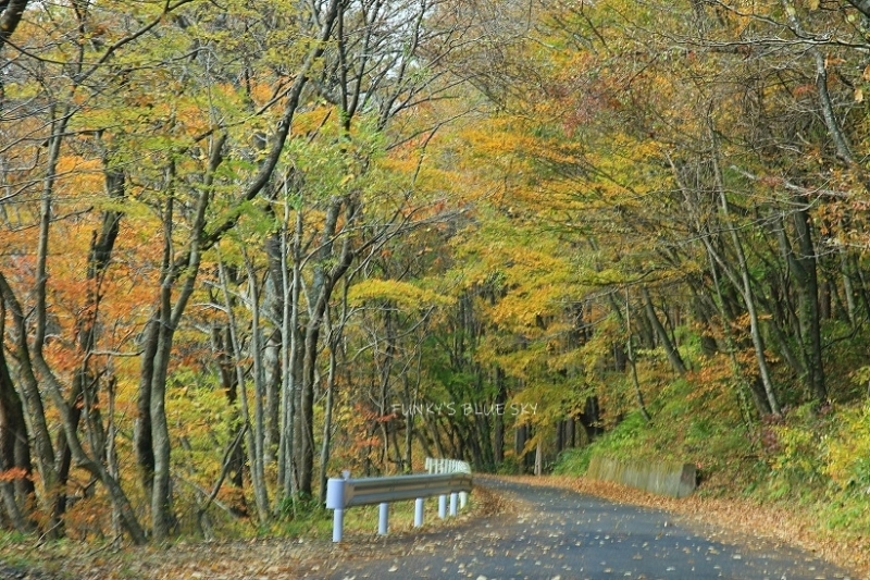 c0145250_10362848.jpg