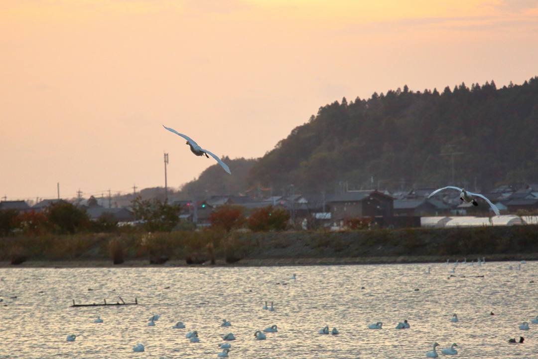 e0403850_20405198.jpg