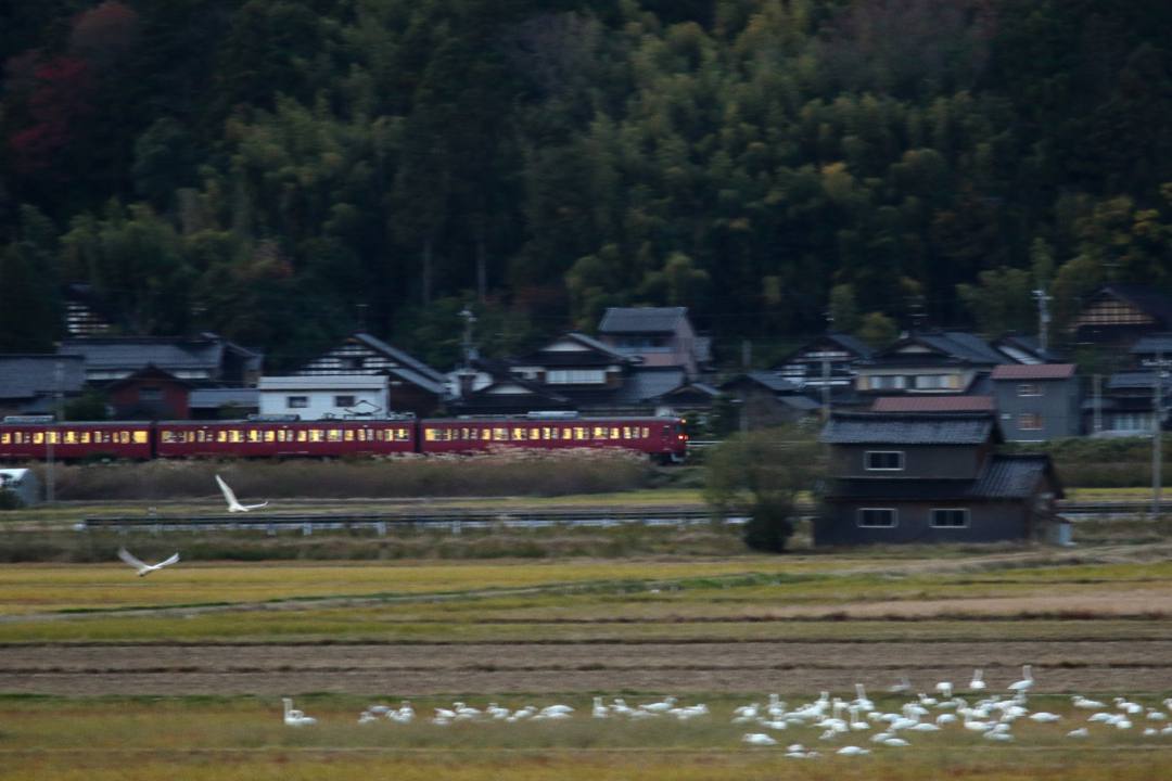 e0403850_20412750.jpg