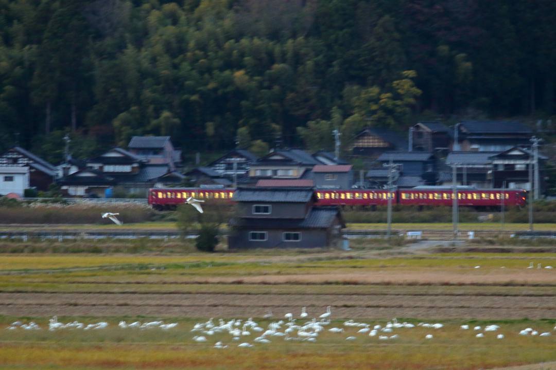 e0403850_20413195.jpg