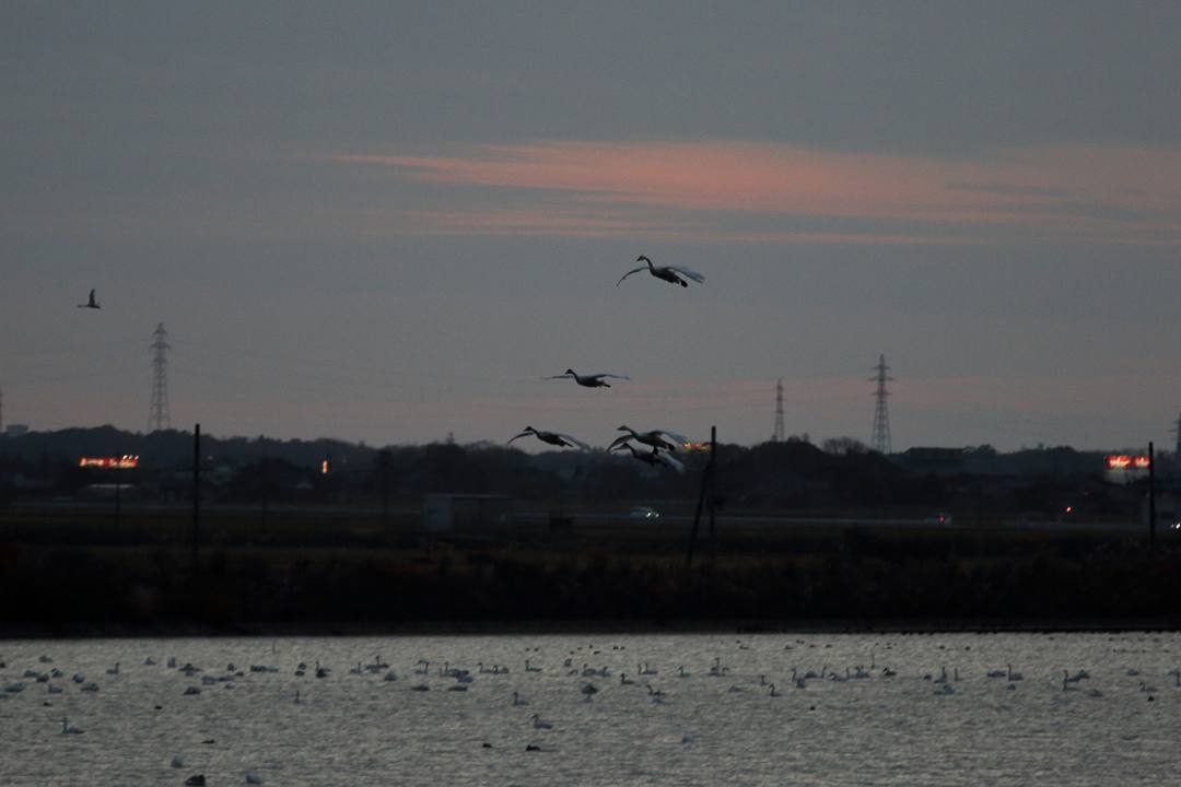 e0403850_20442870.jpg