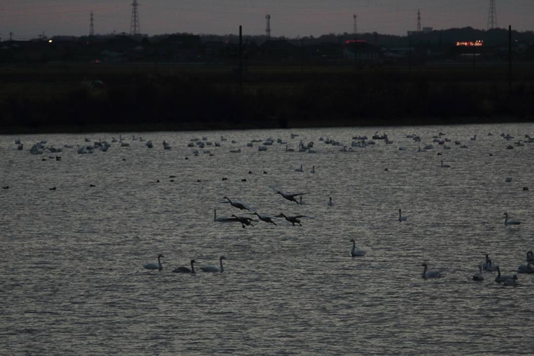 e0403850_20442961.jpg