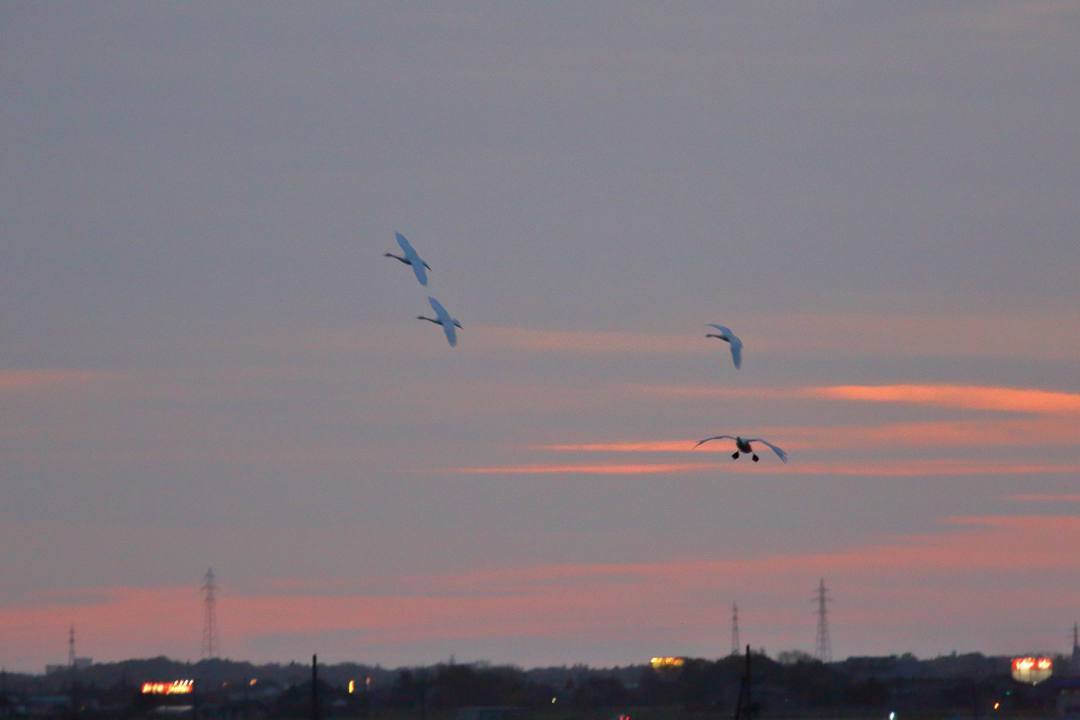 e0403850_20444932.jpg