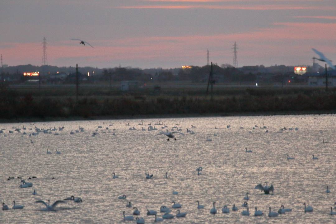 e0403850_20445668.jpg