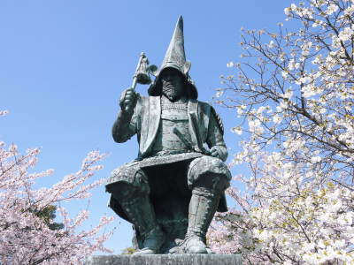 熊本セロリ「清正人参」 お待たせしました!令和元年度の予約販売受付スタート!!匠が育てた熊本セロリ!!_a0254656_17045666.jpg