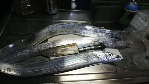 我が家に太刀魚が届いた~!!!!_f0043559_2024423.jpg