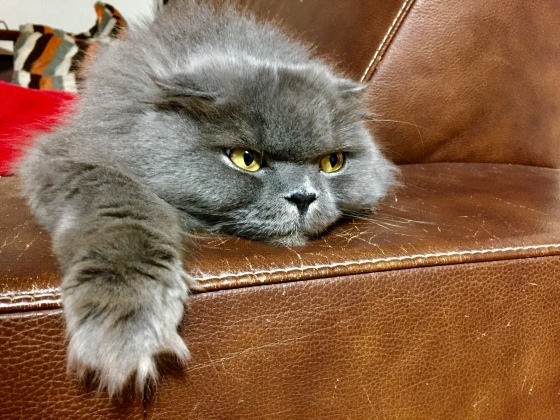 a0258686_06235602.jpeg
