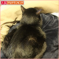 こたつの季節_a0389088_08001842.jpg