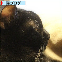 こたつの季節_a0389088_08001865.jpg