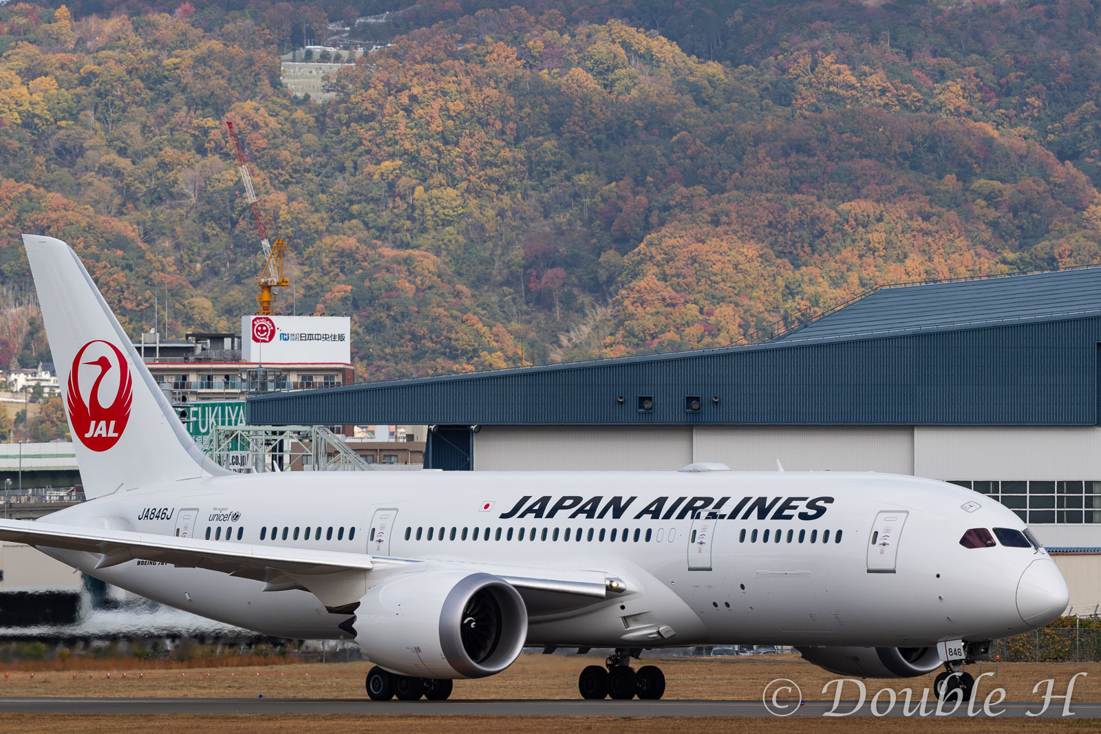 JAL 国内線 B787 初撮りを紅葉バックで_e0401296_19373119.jpg