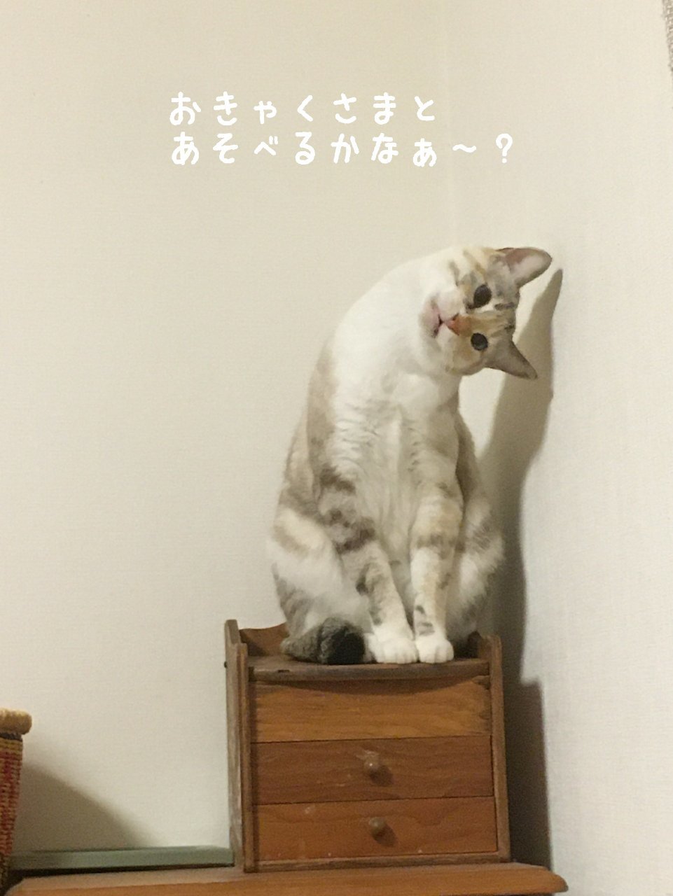 2019年12月の営業日_f0255704_20071291.jpg