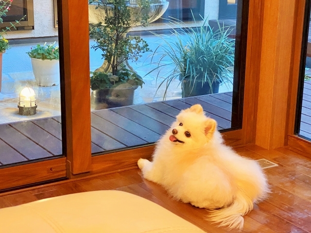 ちょっとだけ我が儘_d0360206_00032219.jpg
