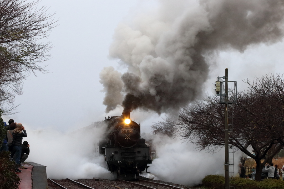 復路発車は白黒の煙が2本 - 2019年晩秋・真岡鉄道 -_b0190710_22272704.jpg